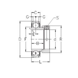 Bearing RAE30-NPPB images