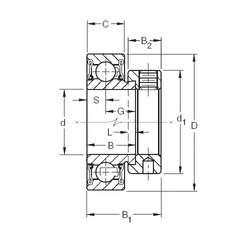 Bearing RAE45RR images