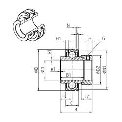 Bearing CEX206-20 images