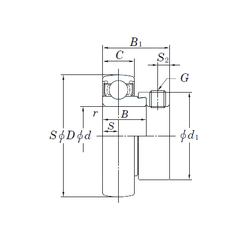 Bearing SA207 images