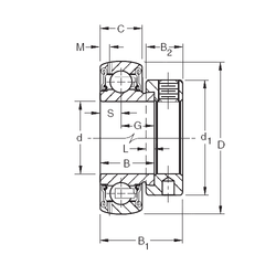 Bearing GRA201RRB images