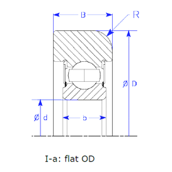 Bearing B25-166 QPSZM images