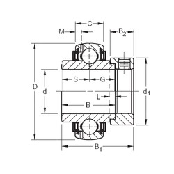 Bearing GN115KLLB images