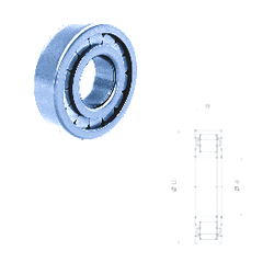 Bearing NUP309FM/C3 images