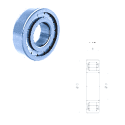 Bearing NJ215FP/C3 images