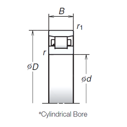 Bearing N1012BMR1 images