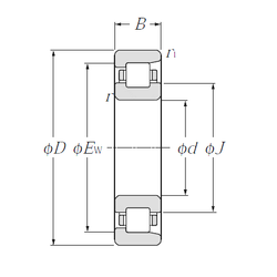 Bearing NF252 images