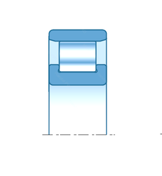 Bearing N207E images