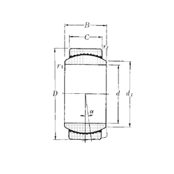 Bearing SAR2-28 images