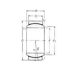 Bearing SAR1-20 images