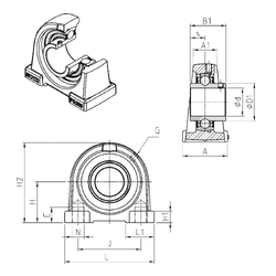 Bearing UCPA211 images