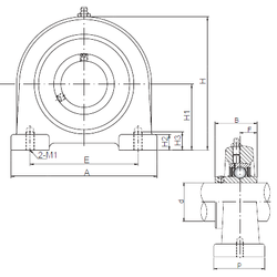 Bearing UCPA211 images