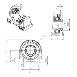 Bearing UKPA205H images