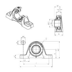 Bearing USPE209 images