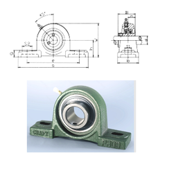 Bearing UCP321 images