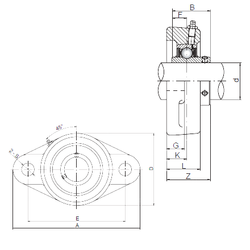 Bearing UCFL206 images