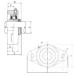 Bearing UKFL217 images