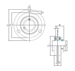 Bearing SBPF205-15 images