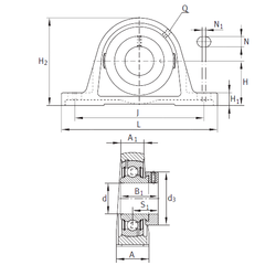 Bearing PAK1 images