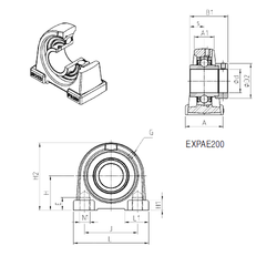 Bearing EXPAE206 images