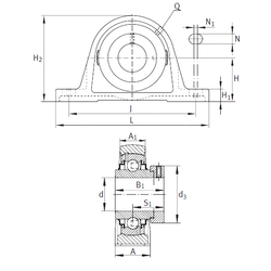 Bearing RASE1-3/16 images