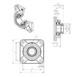 Bearing ESF206 images