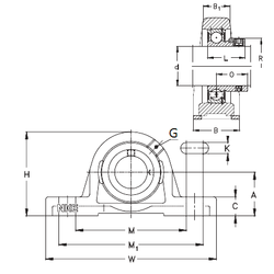 Bearing RASE25-N images