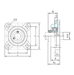 Bearing BF204 images