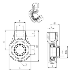 Bearing ESEHE207 images