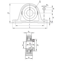 Bearing PASE1/2 images