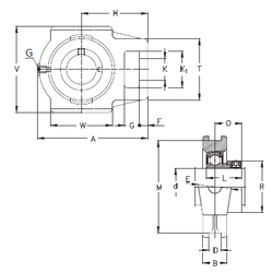 Bearing RTUEY40 images