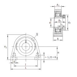 Bearing PSHE55 images