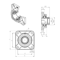 Bearing EXF308 images