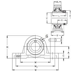 Bearing PASEY45 images