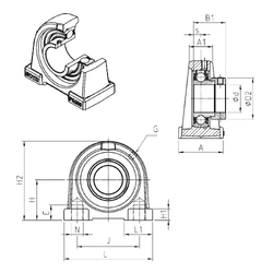 Bearing ESPA209 images