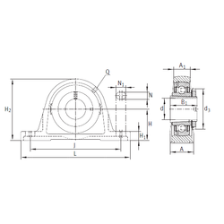 Bearing RASEA50-N images