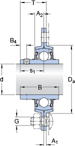 Bearing PFT 1.1/4 TF images